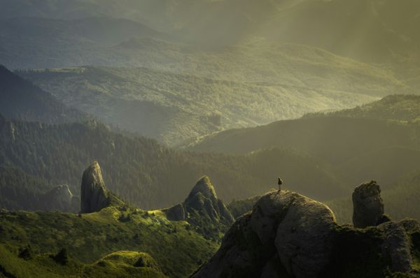 Misty valley morning